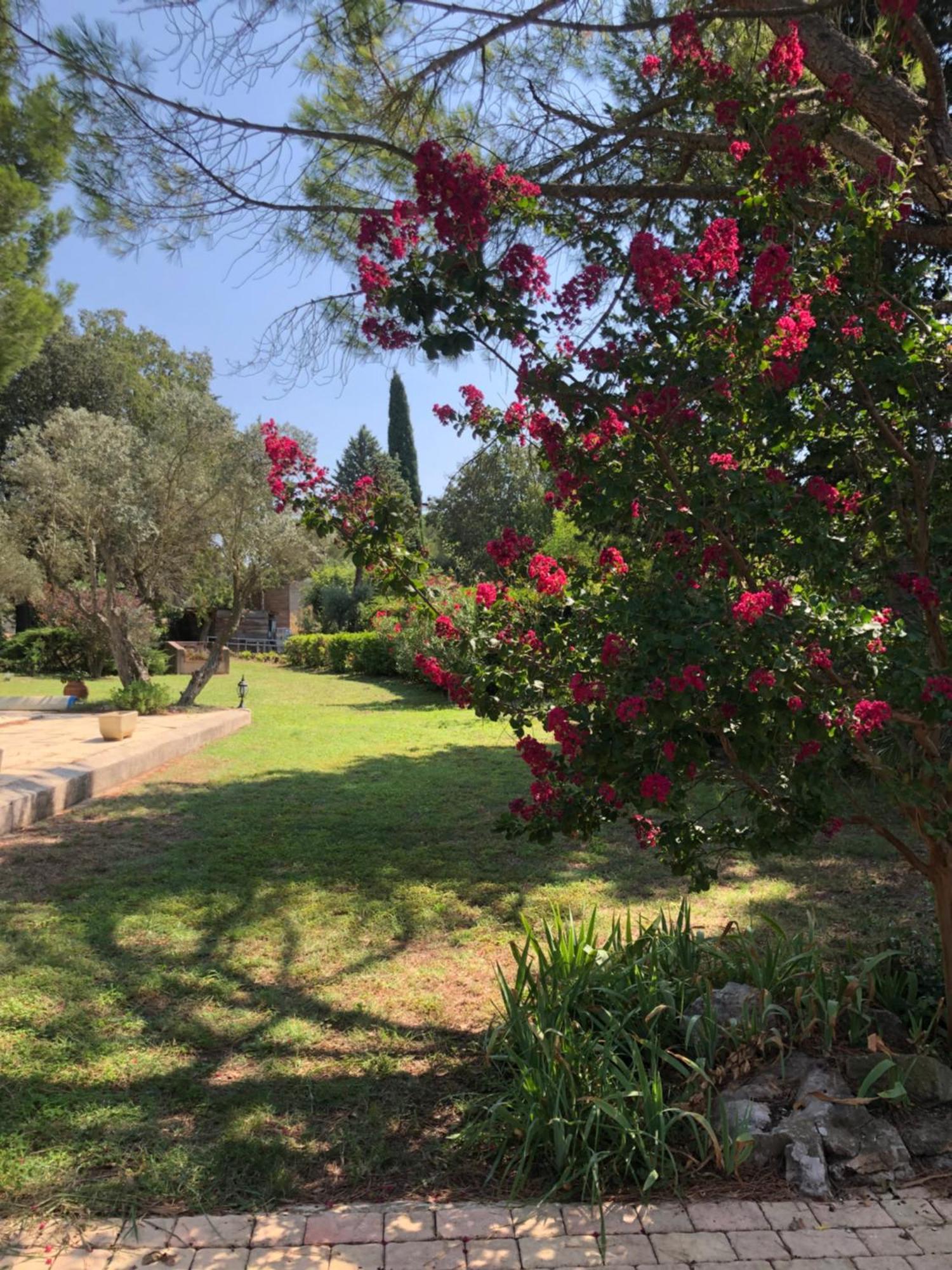 Gite En Provence Dans Grand Jardin Avec Piscine Partagee 科尔尼永孔福 外观 照片